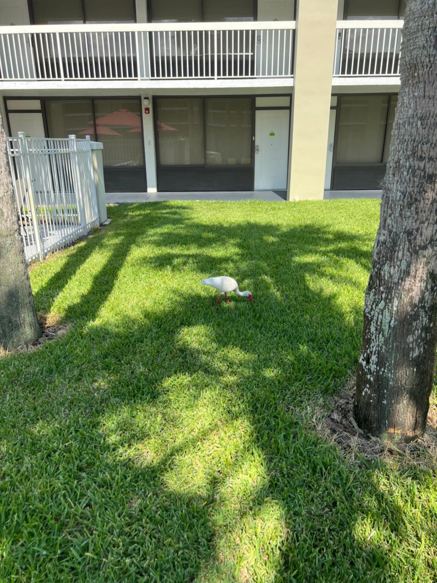 Hotel Room Near Disney 4 People 基西米 外观 照片